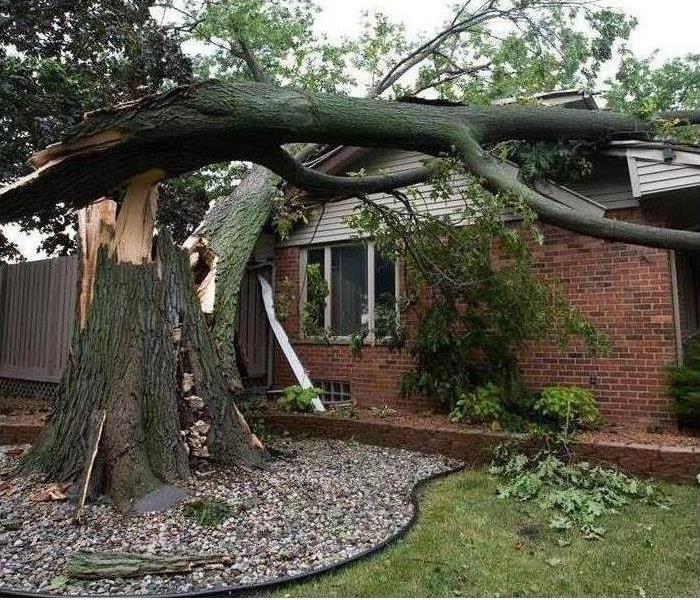 picture of a large tree that has fell on top of a house