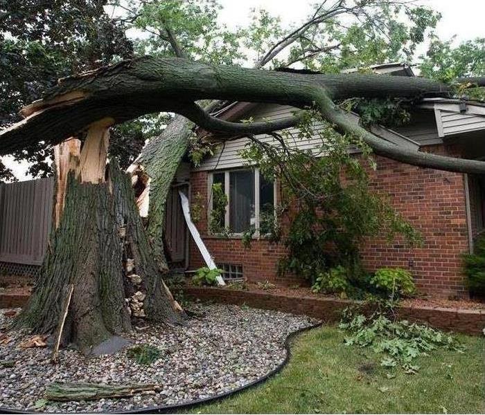 picture of a tree branch that has fallen into a house